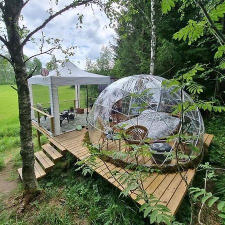 Kaerrbaecks Bubbla Tarnsjo Exteriér fotografie